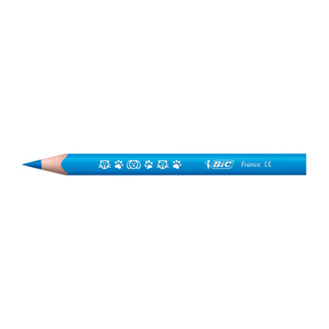 bic-matite-colorate-kids-evolution-triangle-fusto-triangolare-conf-12-pezzi-assortiti-82973511
