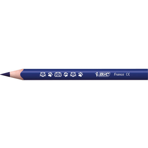 bic-matite-colorate-kids-evolution-triangle-fusto-triangolare-conf-12-pezzi-assortiti-82973511