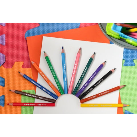 bic-matite-colorate-kids-evolution-triangle-fusto-triangolare-conf-12-pezzi-assortiti-82973511
