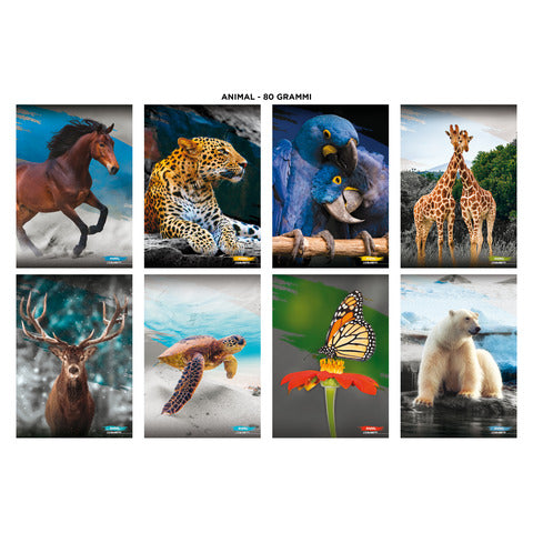 blasetti-maxi-quaderni-animali-a4-181-ff-carta-100-g-mq-conf-10-pz-rigatura-10-mm-9001