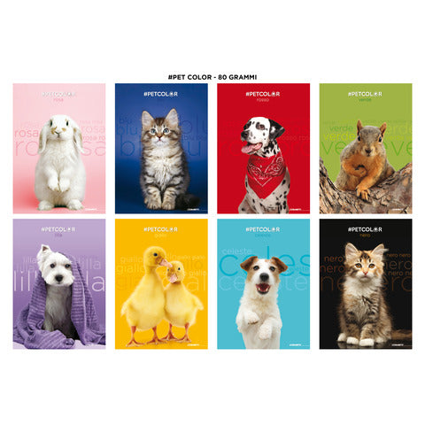 blasetti-maxi-quaderni-cuccioli-a4-201-ff-carta-80-g-mq-conf-10-pezzi-rigatura-5-mm-8928