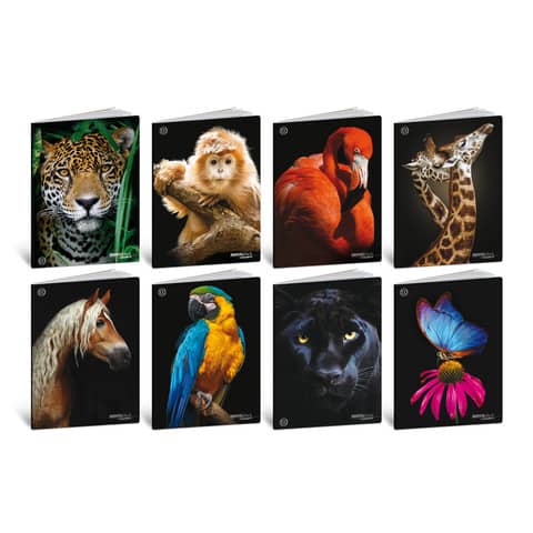 blasetti-maxi-quaderno-animali-a4-100-g-mq-181-ff-4f-conf-10-pezzi-8629