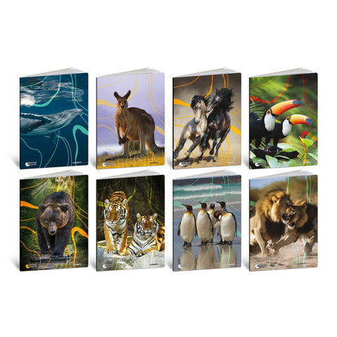blasetti-maxi-quaderno-animali-a4-80-g-mq-20-ff-b-conf-10-pezzi-8576