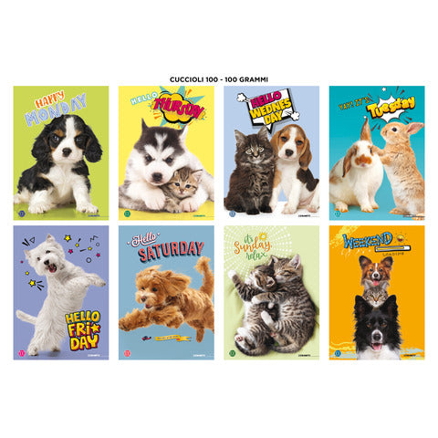 blasetti-maxi-quaderno-cuccioli-a4-100-g-mq-18-ff-10m-conf-10-pezzi-8621