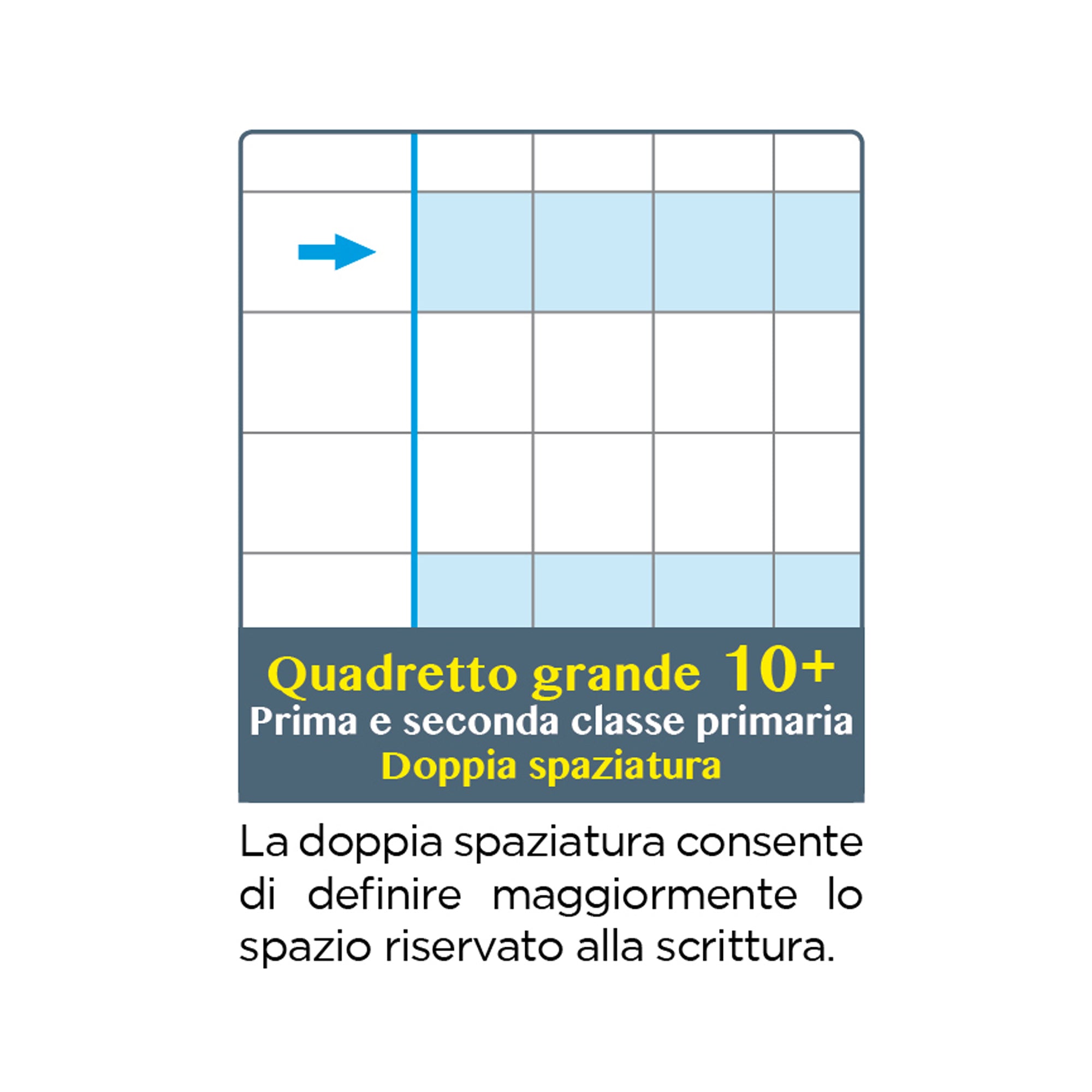 blasetti-maxiquaderno-one-color-didattico-fto-a4-100gr-181-quadretto-grande-10