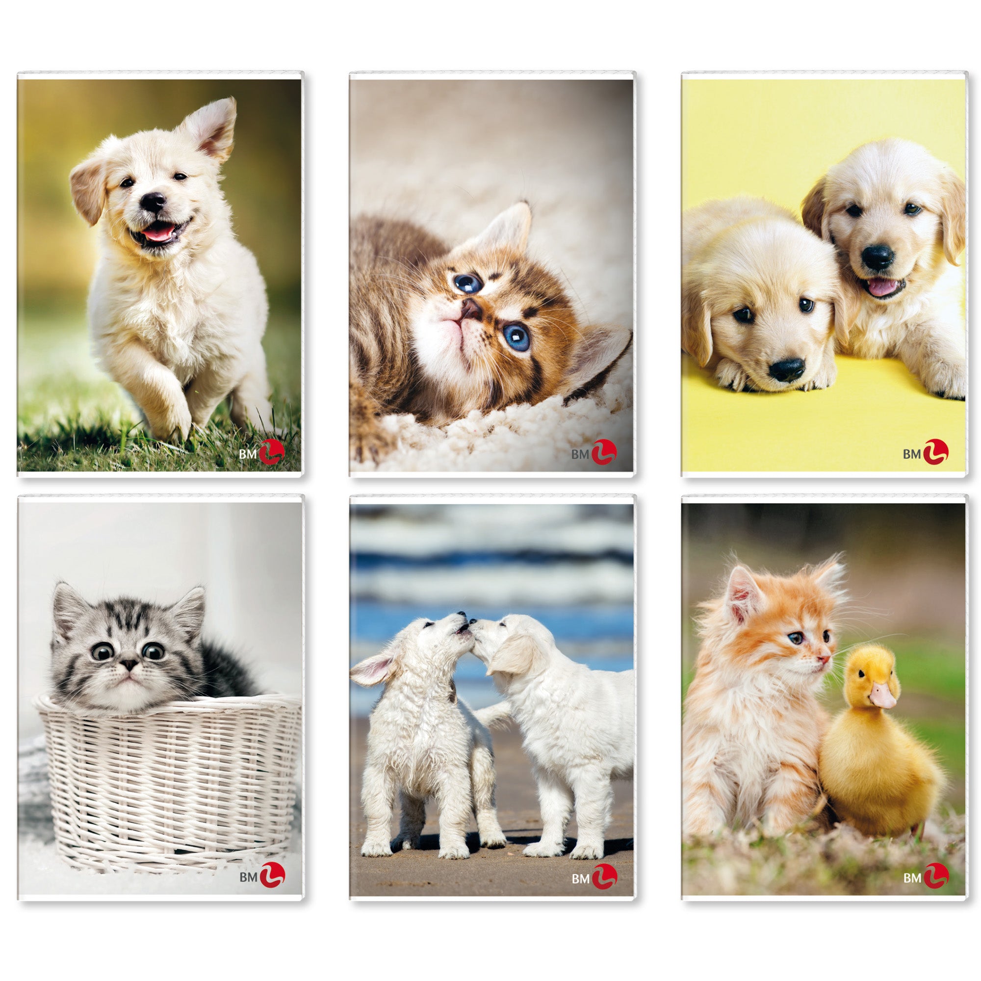bm-maxiquaderno-a4-40fg2-80gr-4mm-cute