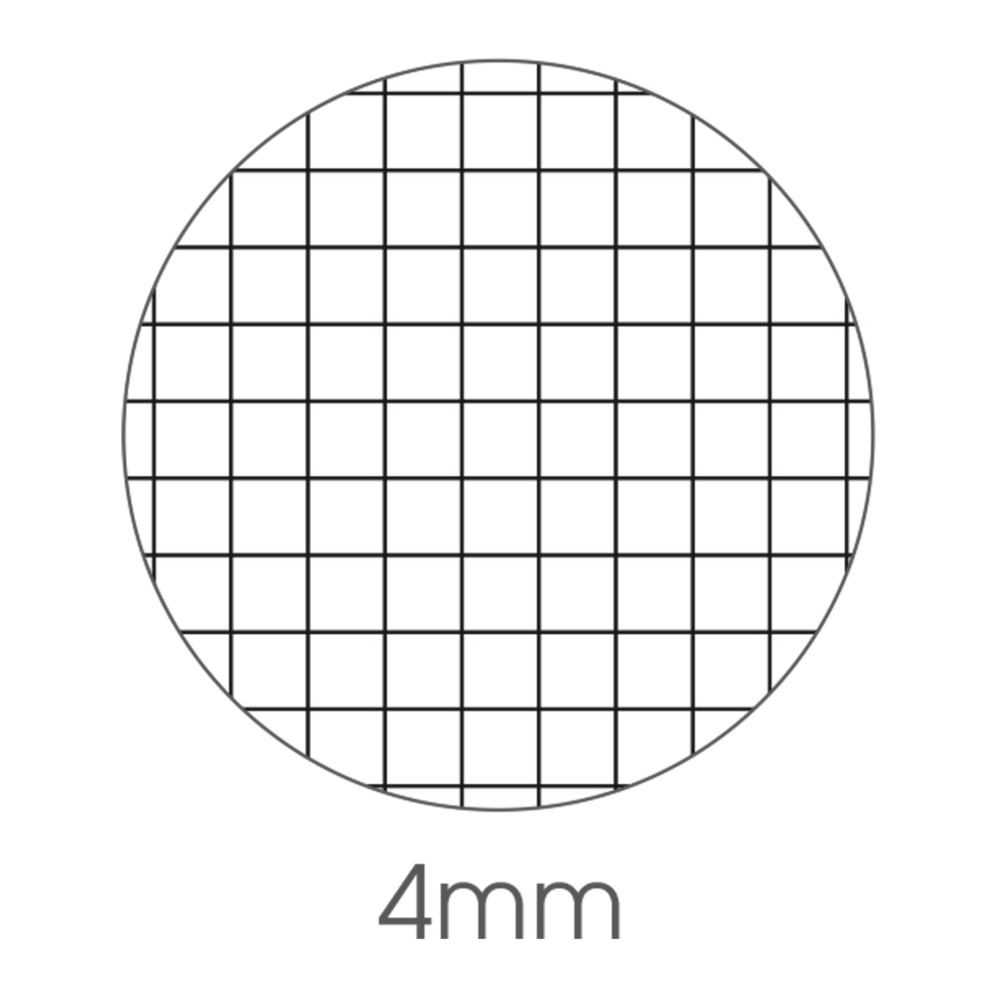 bm-maxiquaderno-a4-40fg2-80gr-4mm-travel
