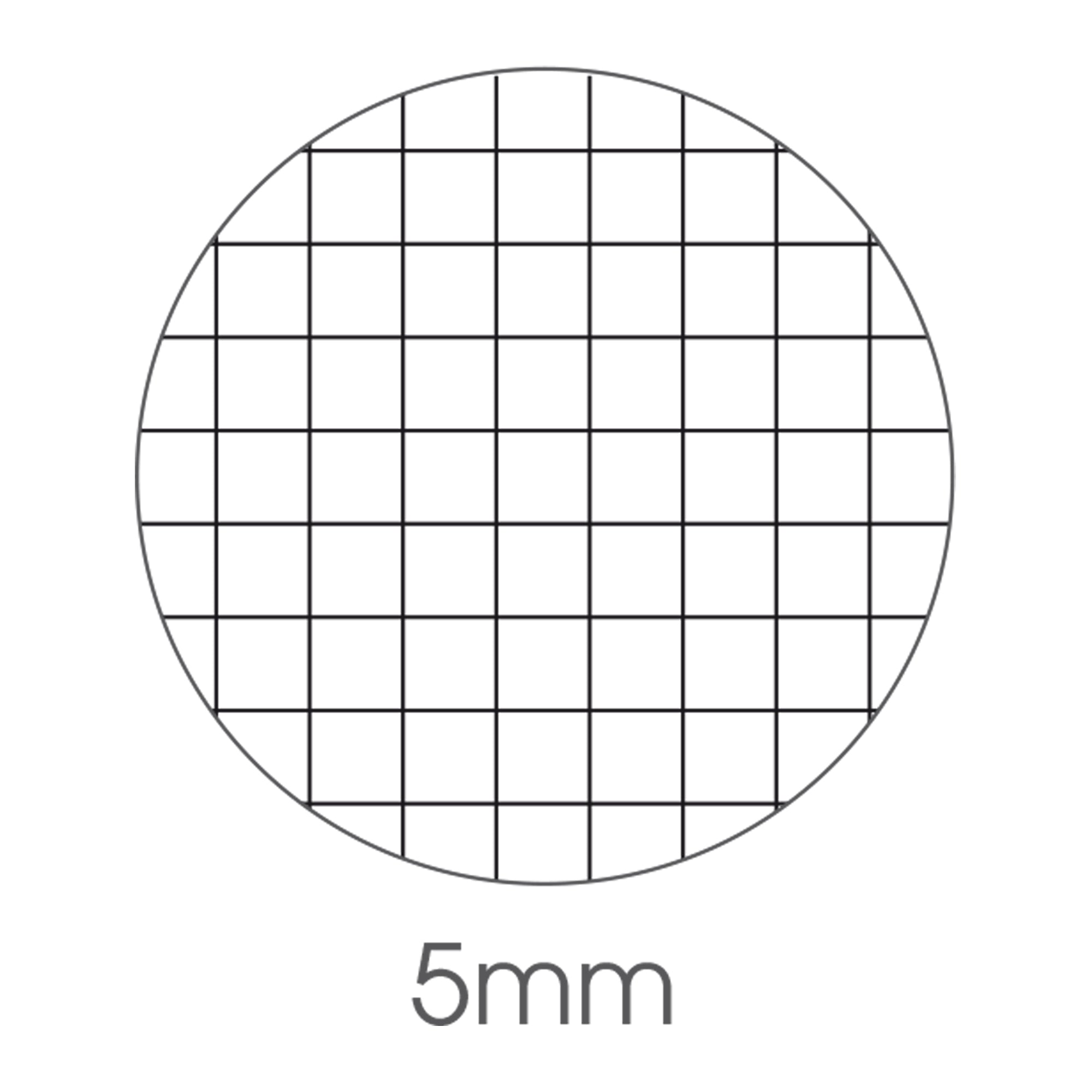 bm-maxiquaderno-a4-40fg2-80gr-5mm-bambina