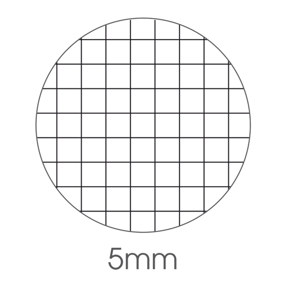 bm-maxiquaderno-a4-40fg2-80gr-5mm-sport