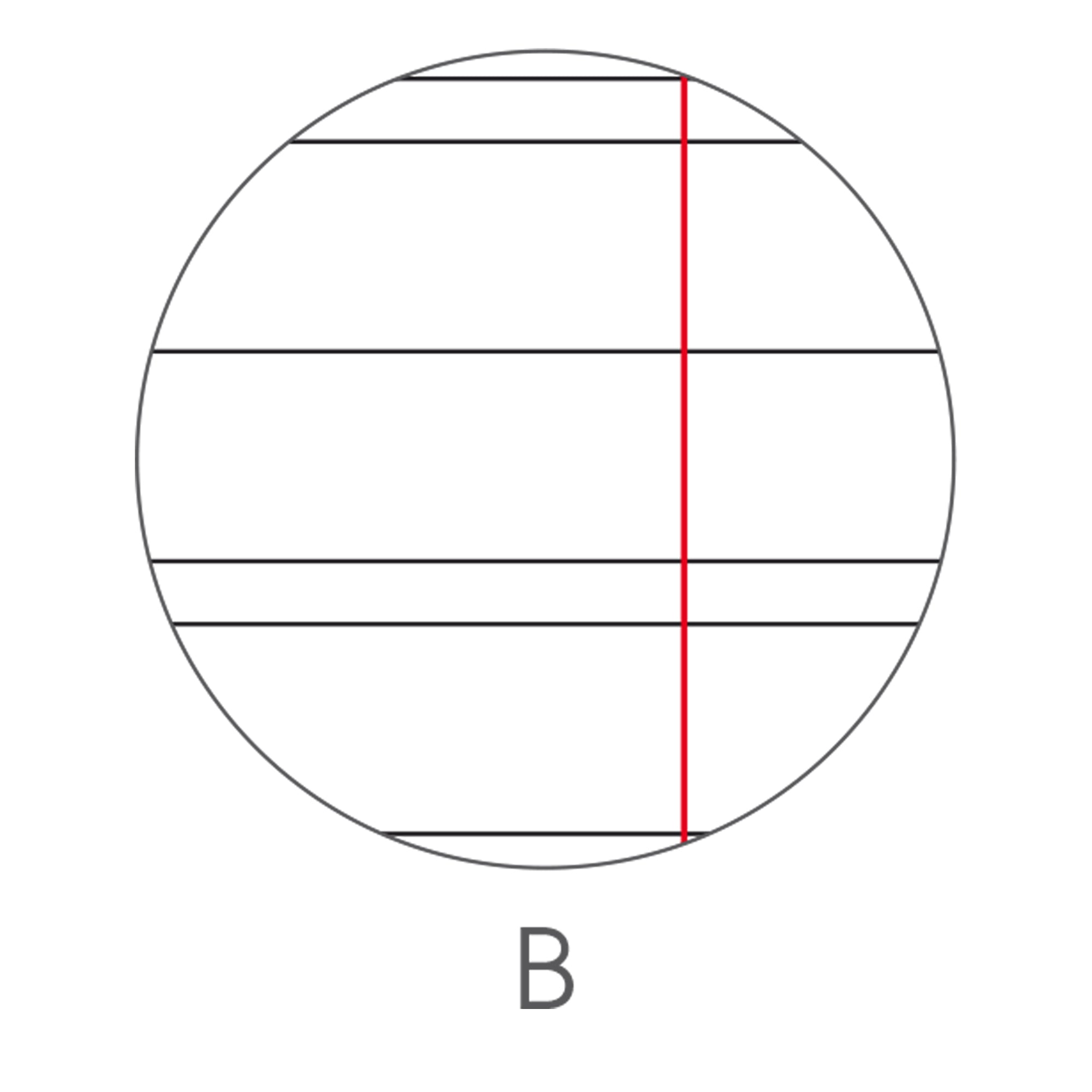 bm-maxiquaderno-a4-40fg2-80gr-rigo-3a-animal
