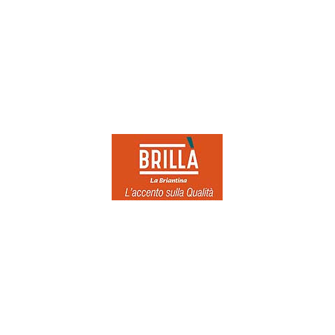 brilla-ricarica-piumini-catturapolvere-speedy-conf-10-pezzi-ric02523a