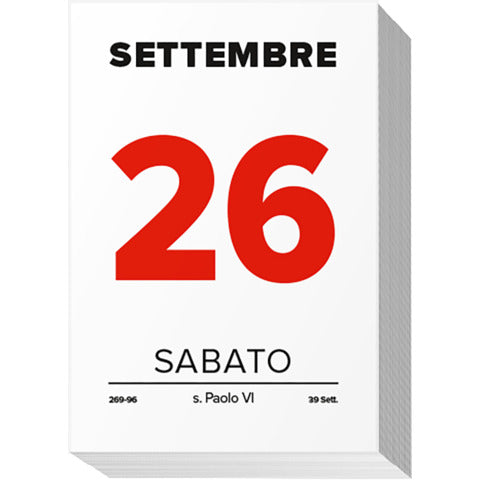 cartucciaperfetta-blocco-2026-muro-comune-formato-5-5x9-cm-26-bm207