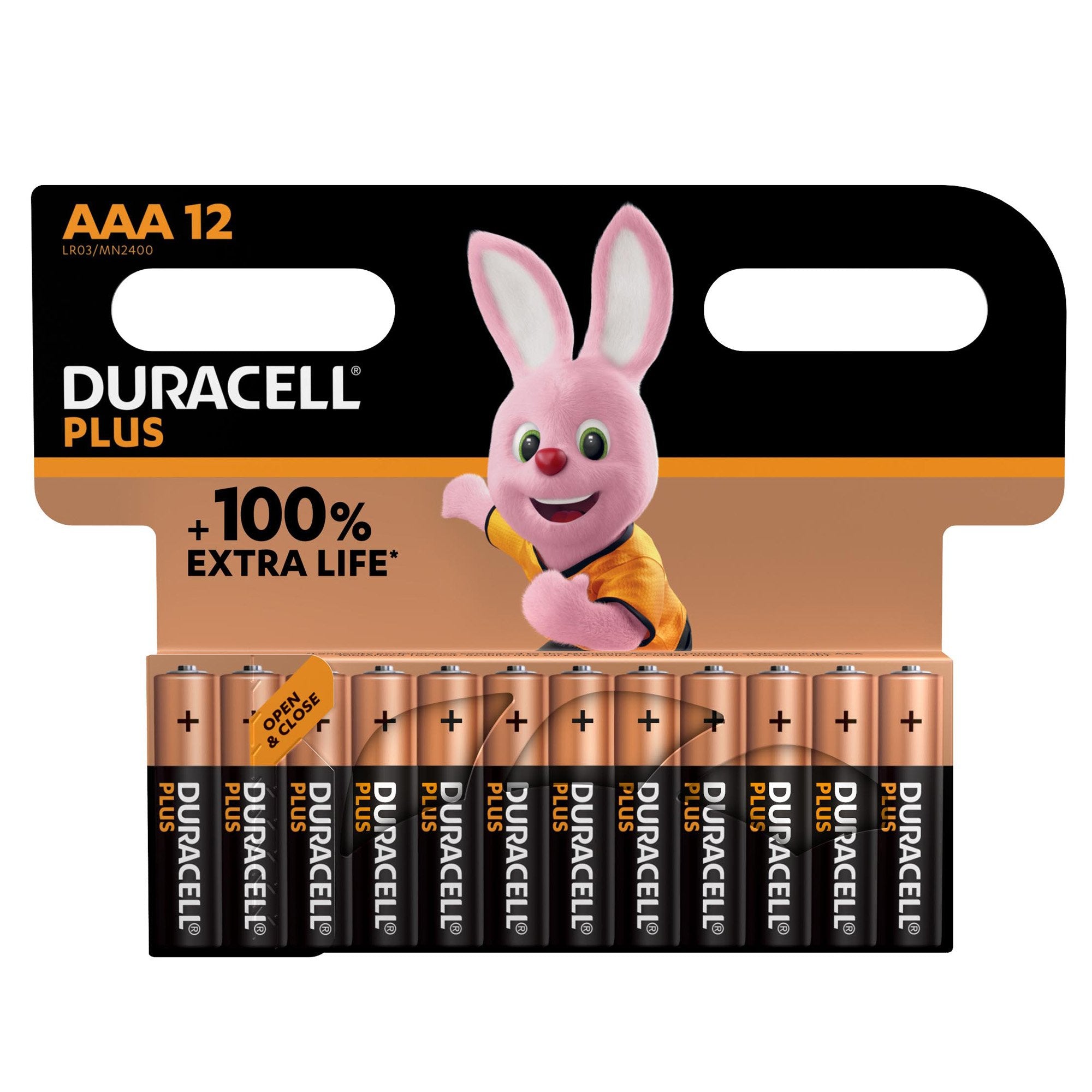 duracell-blister-12-pile-plus-power-aaa-ministilo