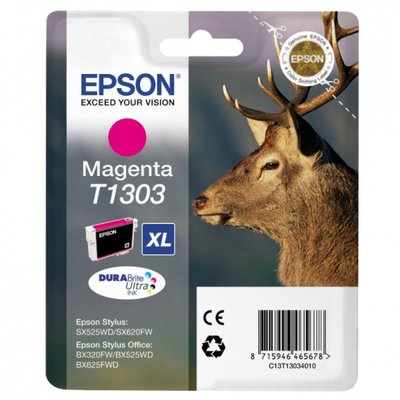 epson-c13t13034012-cartuccia-originale