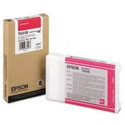 epson-c13t603300-cartuccia-originale