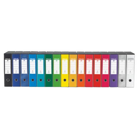 esselte-registratore-custodia-g55-eurofile-protocollo-dorso-8-cm-cartone-rivestito-pp-verde-390755180