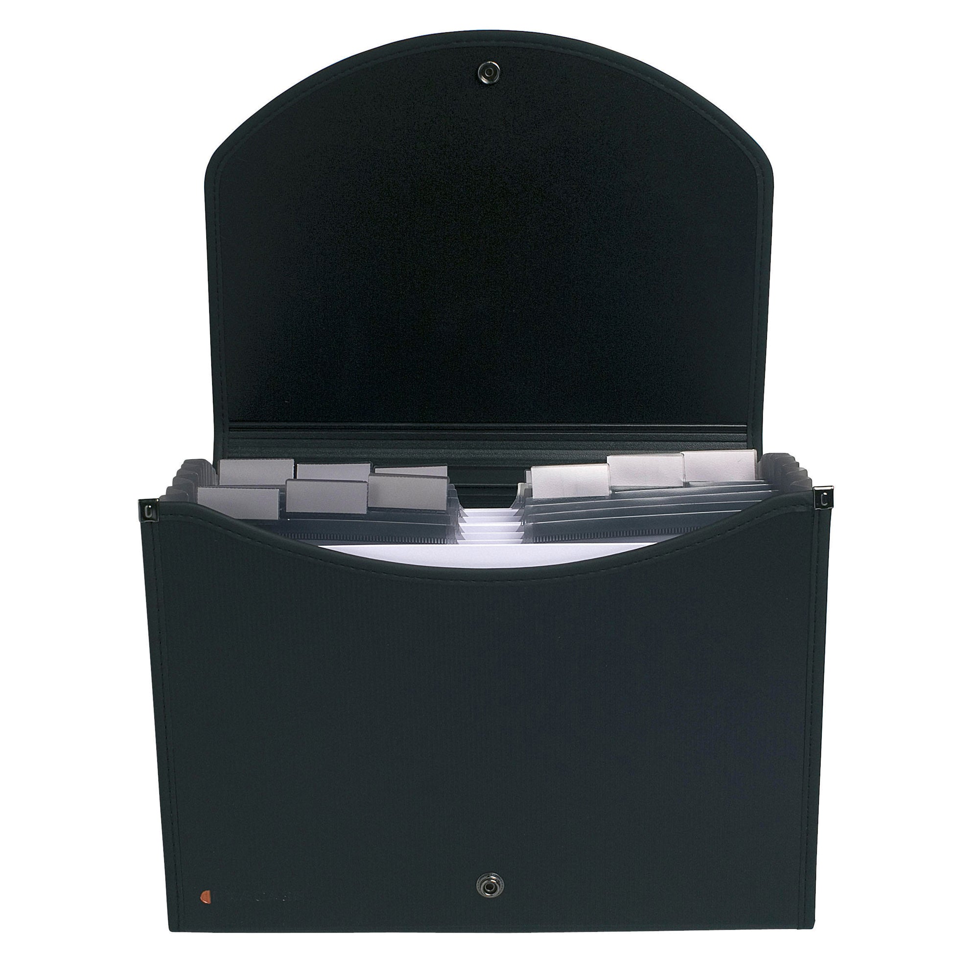 exacompta-classificatore-13-tasche-33x26cm-ppl-nero-exacase