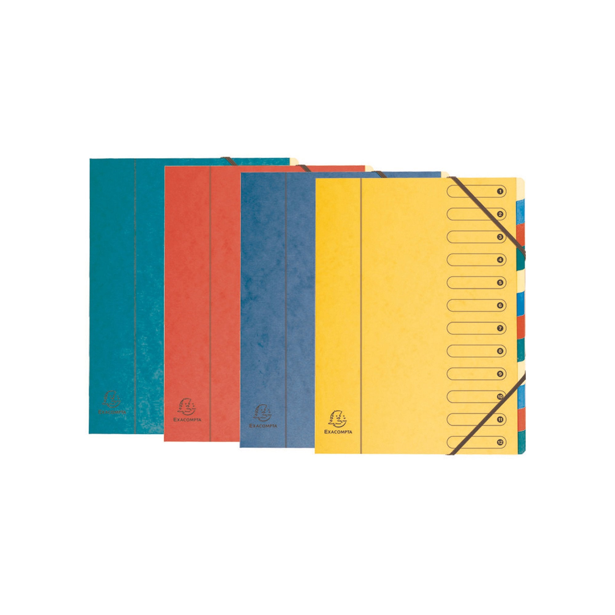 exacompta-monitore-1-12-24x32cm-colori-vivaci-nature-future