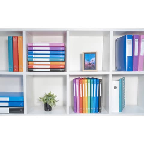 exacompta-raccoglitore-anelli-linea-opaco-4-anelli-diametro-15-mm-ppl-a4-10-colori-assortiti-51199e