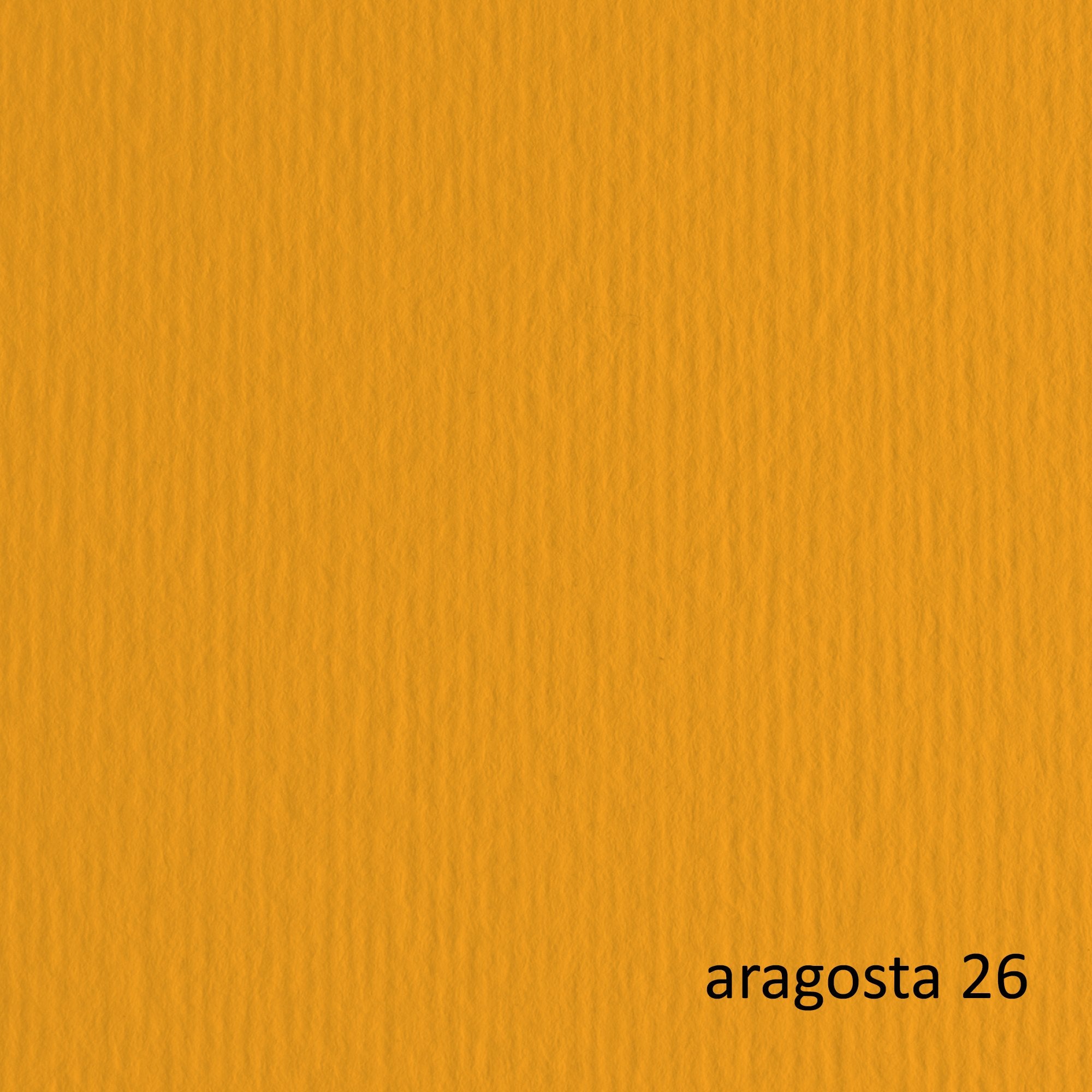 fabriano-blister-10fg-cartoncino-70x100-220gr-aragosta-126-elle-erre