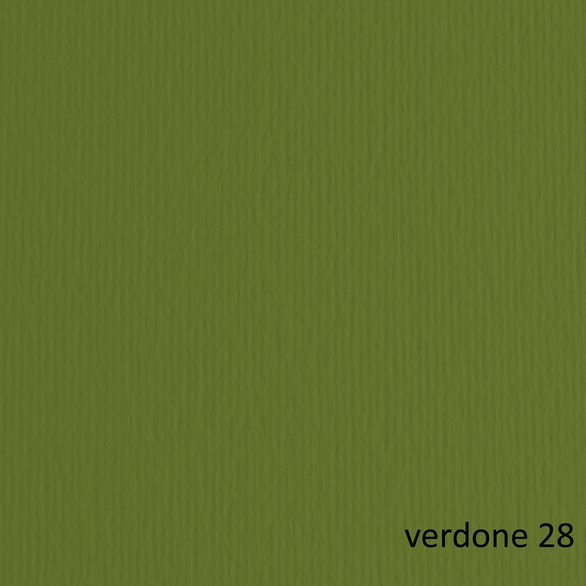 fabriano-blister-10fg-cartoncino-70x100-220gr-verdone-128-elle-erre