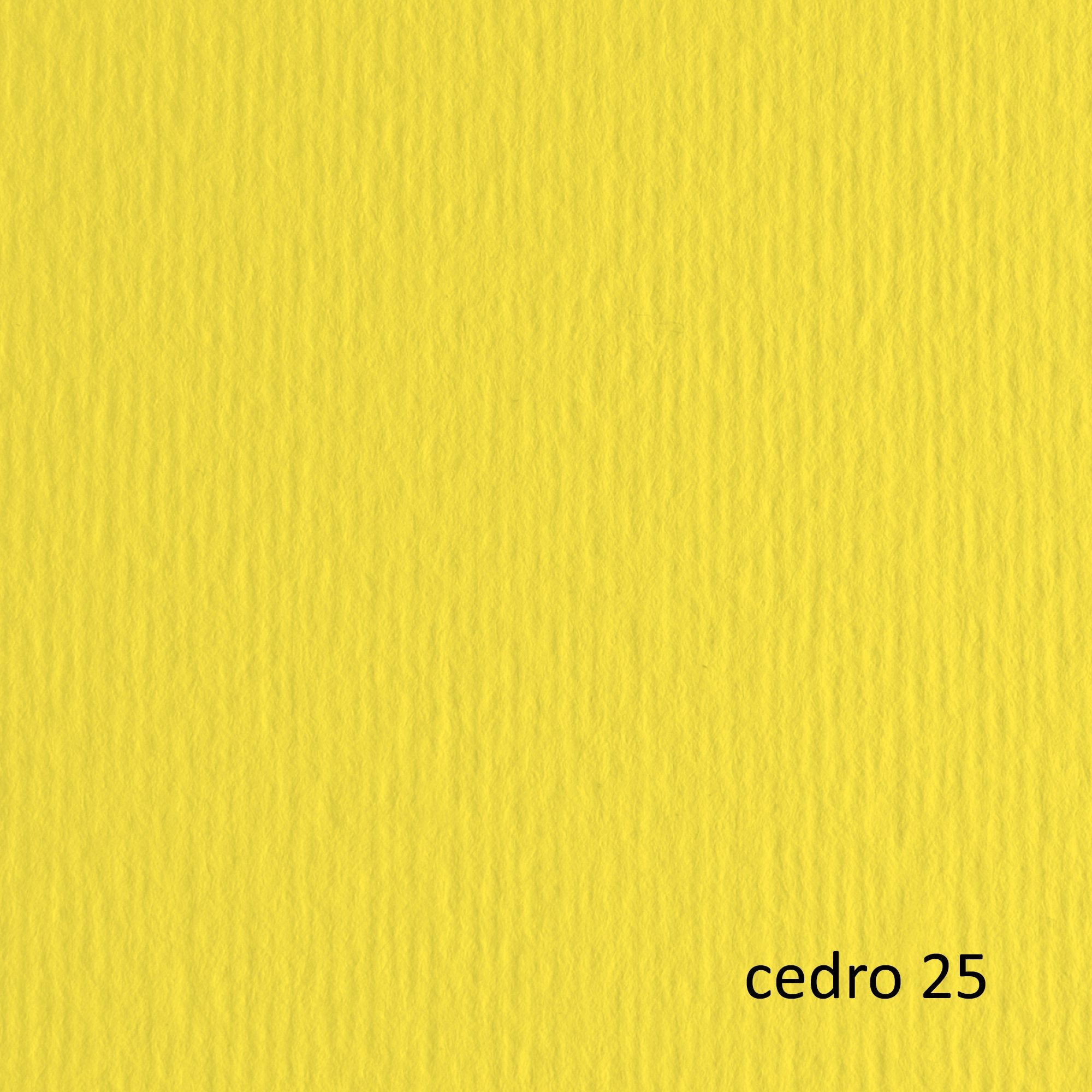 fabriano-blister-20fg-cartoncino-50x70-220gr-cedro-25-elle-erre