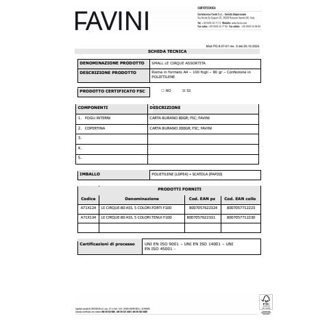 favini-carta-colorata-cirque-mix-a4-80-g-mq-risma-100-fogli-5-colori-tenui-assortiti-a71x134
