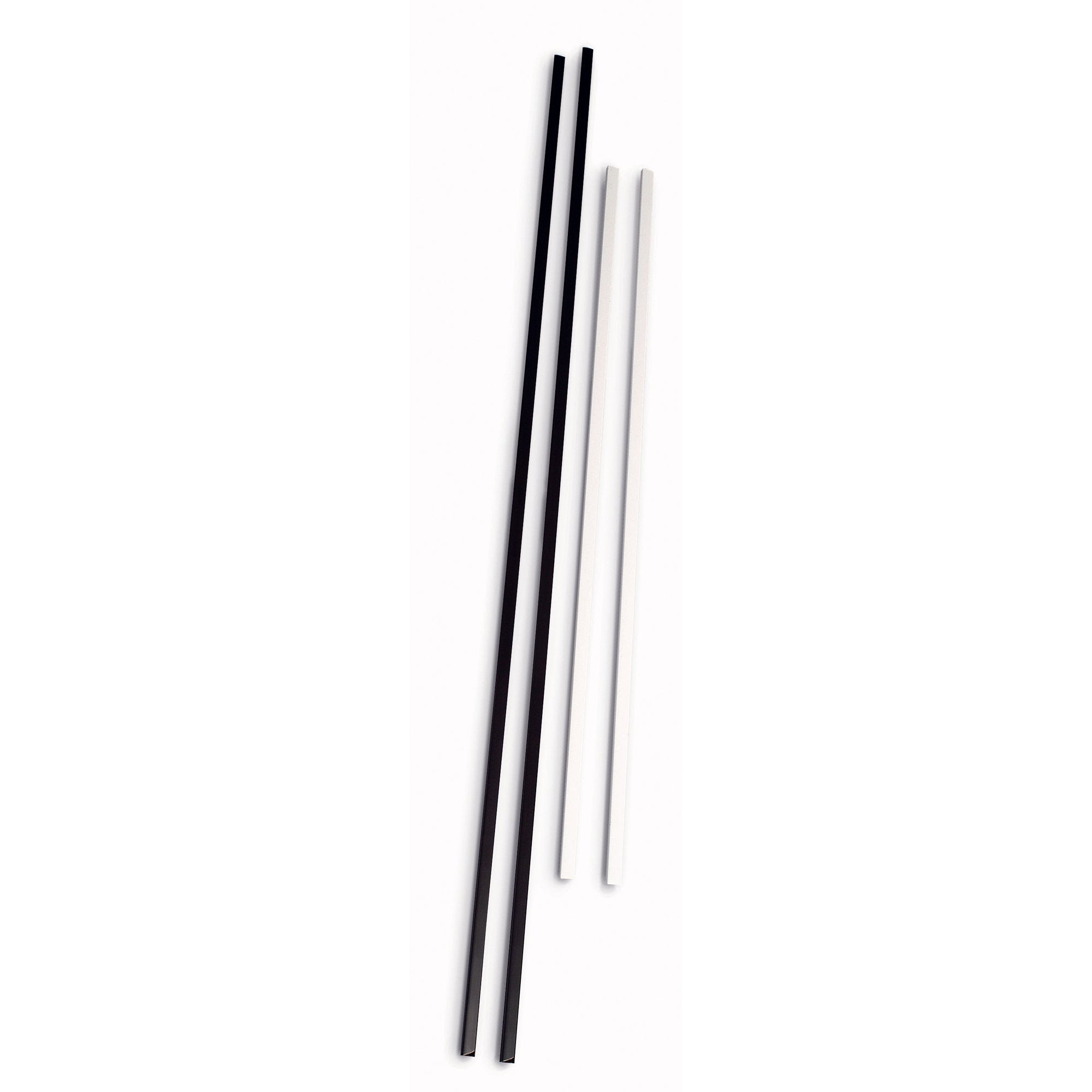 fellowes-blister-2-dorsi-poster-100cm-nero