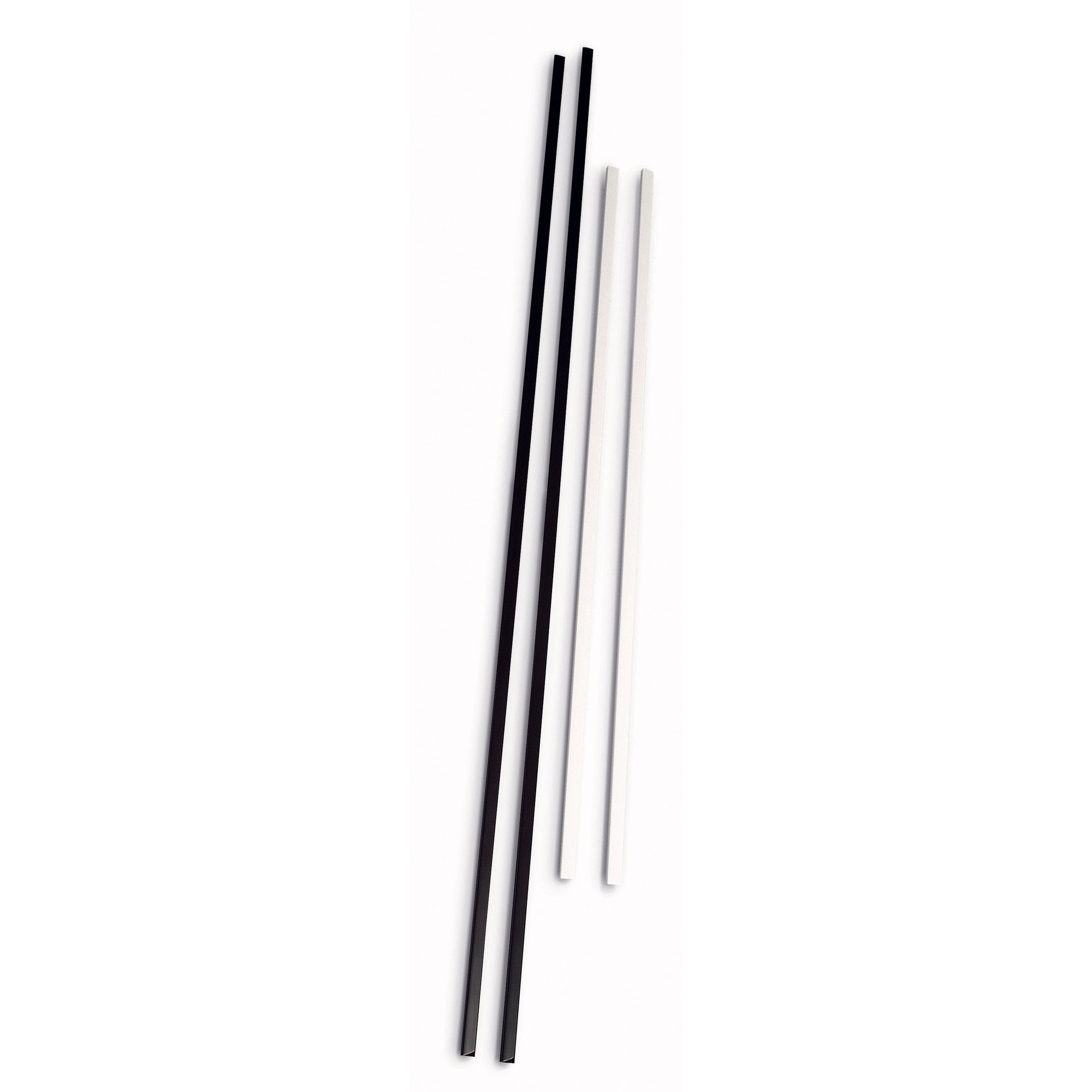 fellowes-blister-2-dorsi-poster-70cm-nero