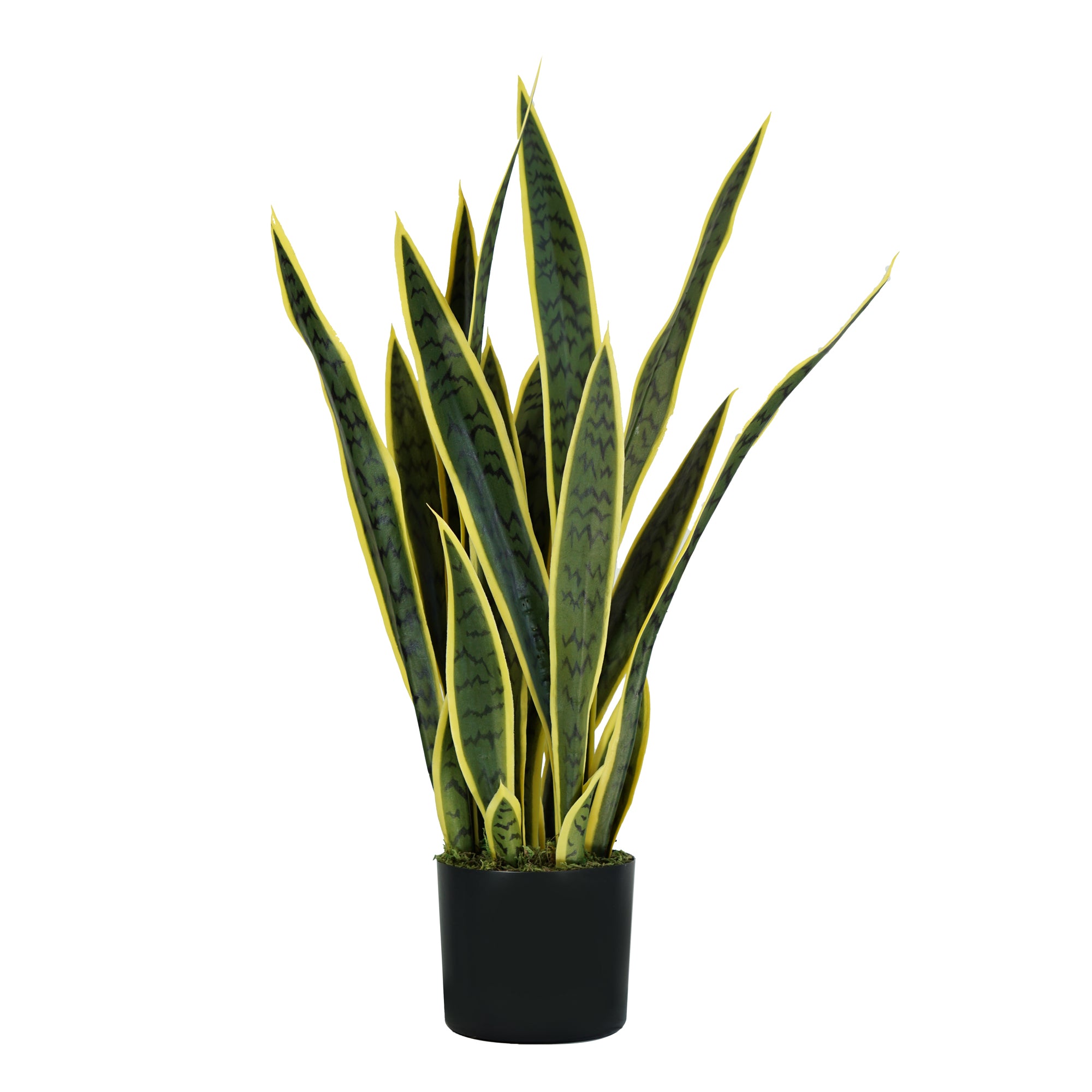 king-collection-pianta-ornamentale-sansevieria-21-foglie