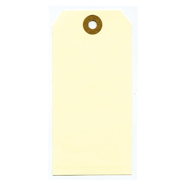lebez-1000-etichette-spedizioni-120x60mm-80053