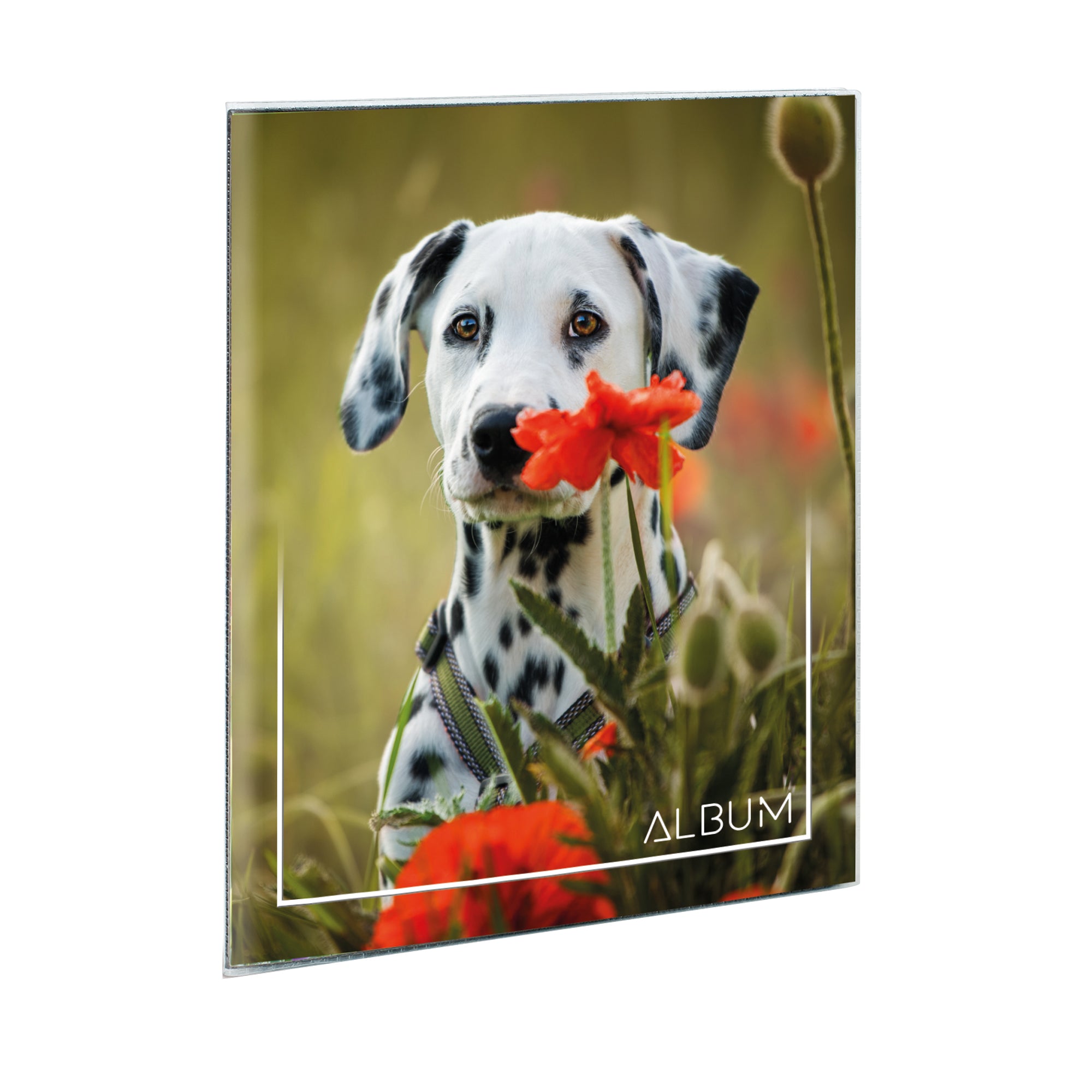 lebez-album-foto-saldato-17x21cm-fino-24-foto-14-5x20cm-assortiti