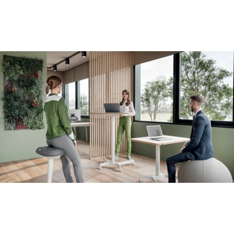leitz-scrivania-compatta-sit-stand-pneumatica-ergo-bianco-600x650x800-mm-65360001