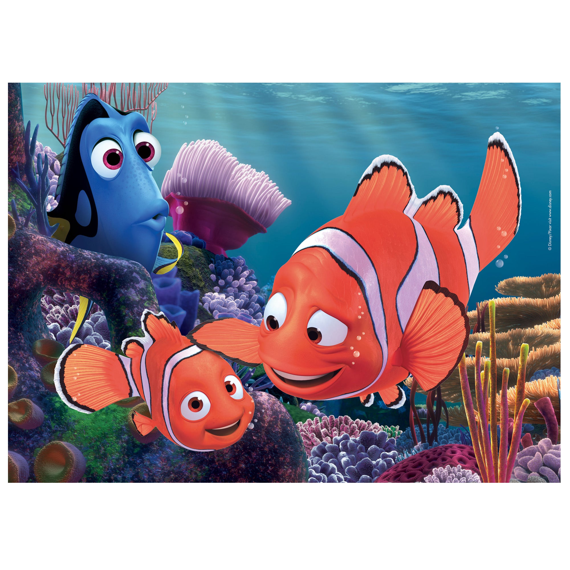 lisciani-puzzle-maxi-24pz-disney-nemo