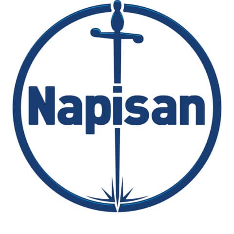napisan-salviette-igienizzanti-bio-limone-maxi-pack-80-salviette-3240170