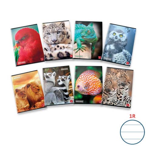 pigna-quaderno-42-fogli-animal-a4-righe-1r-assortiti-02330131r