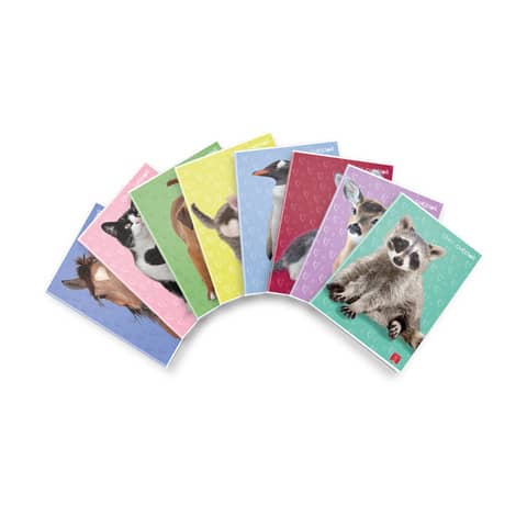 pigna-quaderno-42-fogli-dolci-cuccioli-a4-righe-1r-assortiti-02330171r