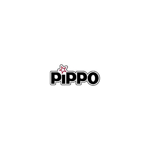 pippo-spazzolone-interni-nylon-29x7-5-cm-filetto-italiano-es835