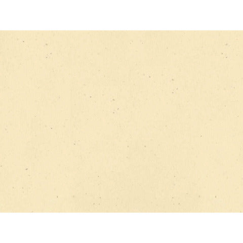 ristocart-tovaglietta-carta-paglia-neutra-tinta-massa-30x40-cm-conf-250-pz-verde-wrtvt1138