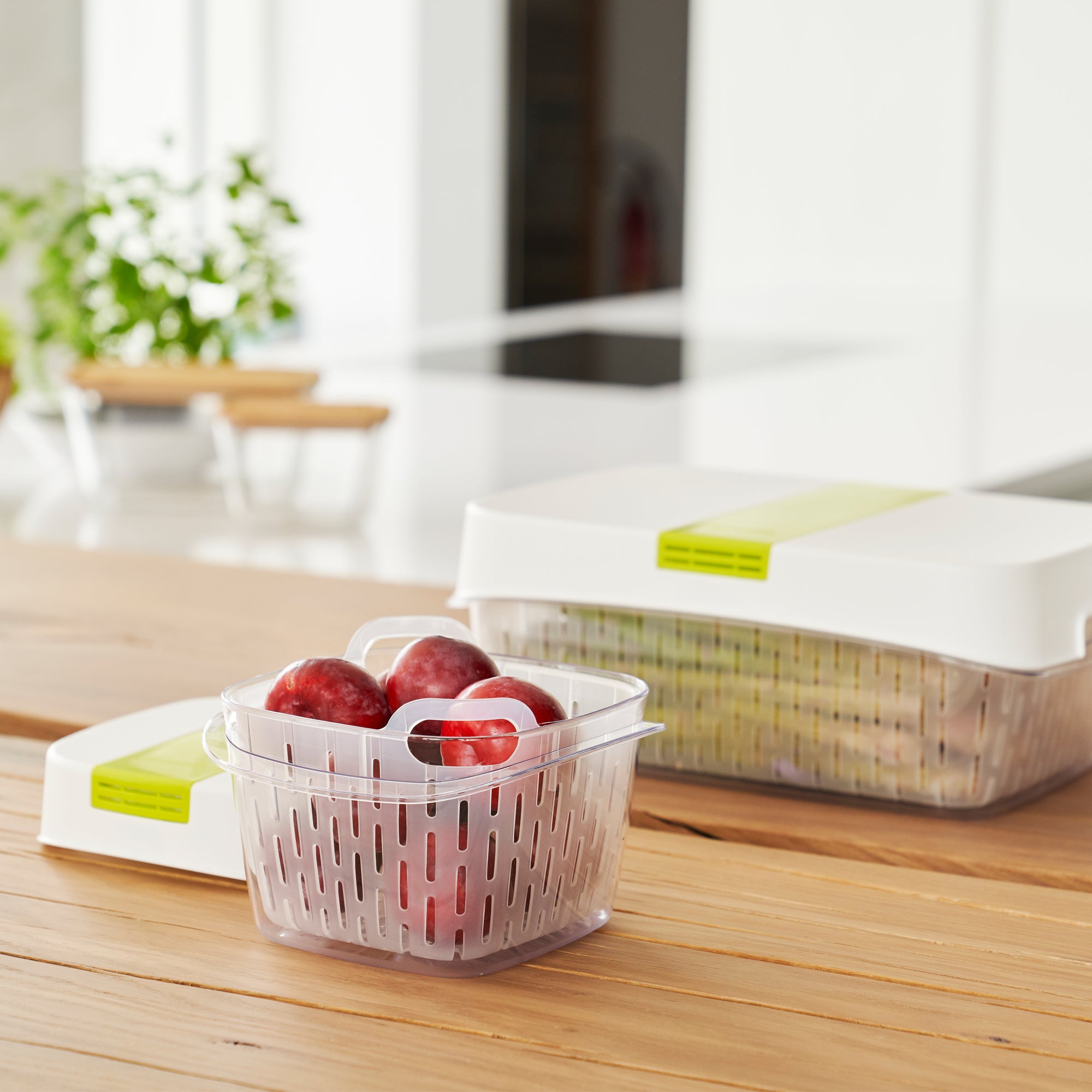 rotho-contenitore-alimenti-dynamic-box-1-6-lt-fresh