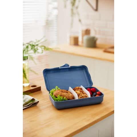rotho-lunch-box-fun-l-1-7-l-divisorio-interno-plastica-pp-senza-bpa-blu-f711123