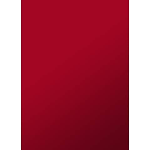 sei-rota-copertine-rilegatura-rota-video-roc-formato-a4-colore-rosso-conf-100-pezzi-52142812