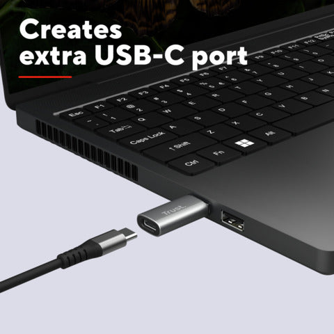trust-adattatore-calyx-usb-a-usb-c-conf-2-pz-grigio-25573