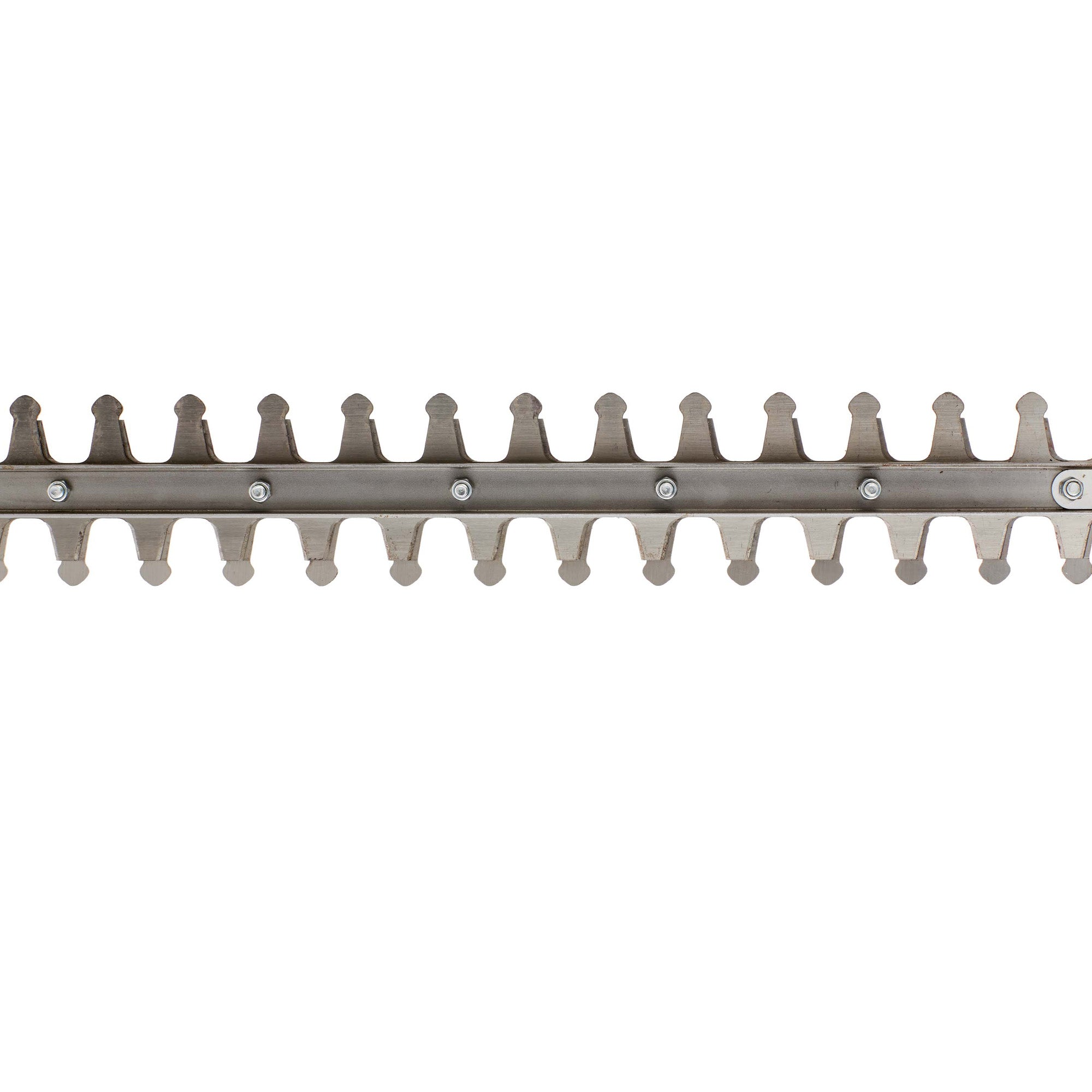 verdemax-tagliasiepe-batteria-ts20-20v-2ah